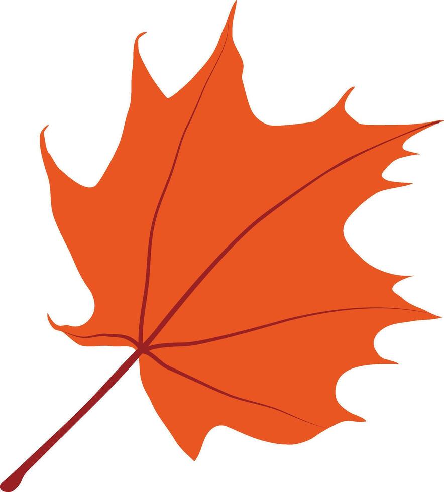An orange leaf vector