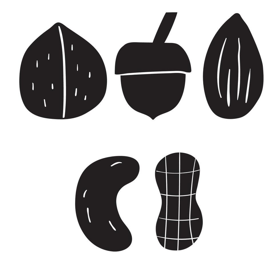 Set of nuts. Silhouettes. Hand drawn design. Black color. Illustration on white background. vector