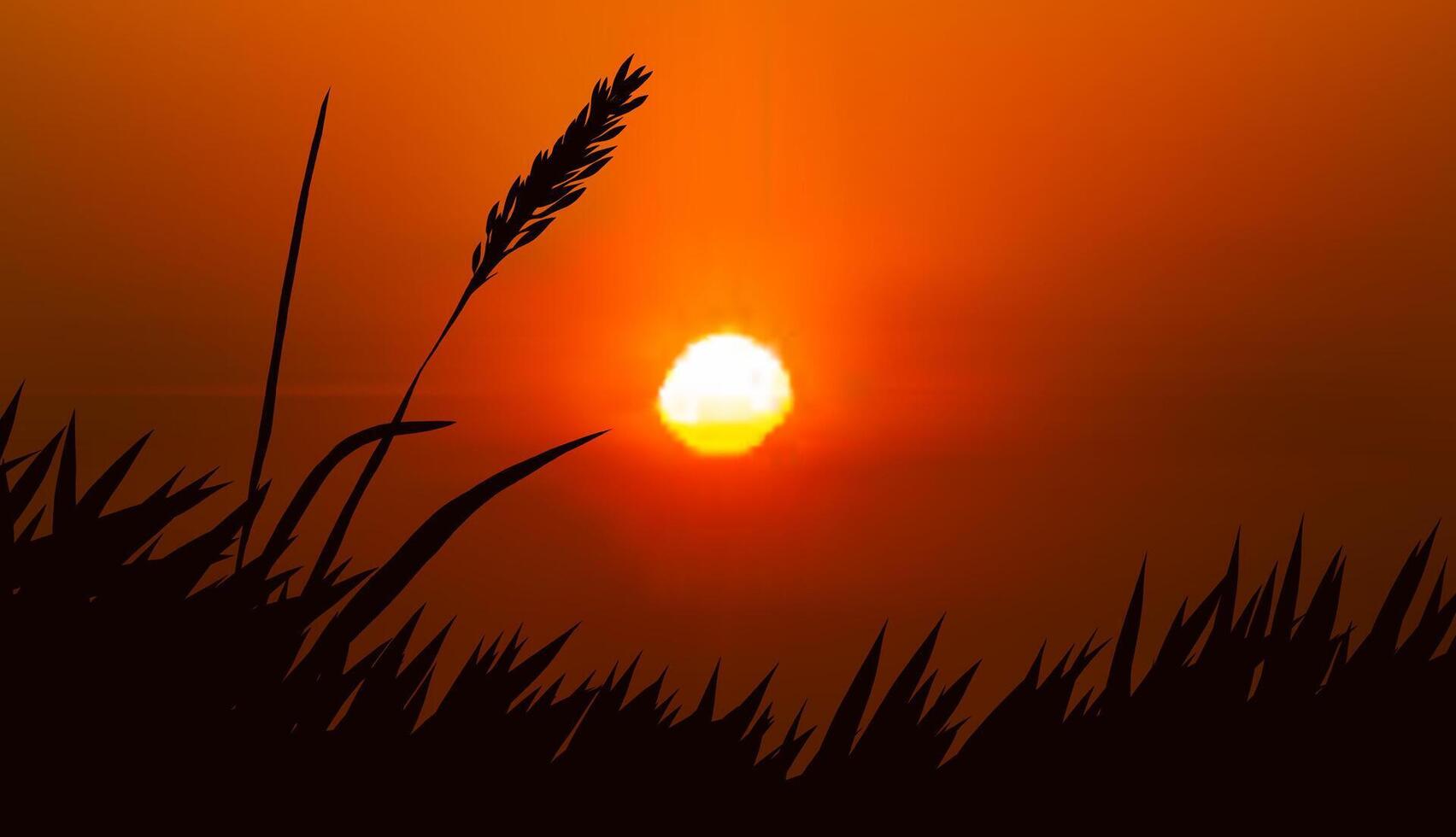 Silhouette of grass and the red sunset vector