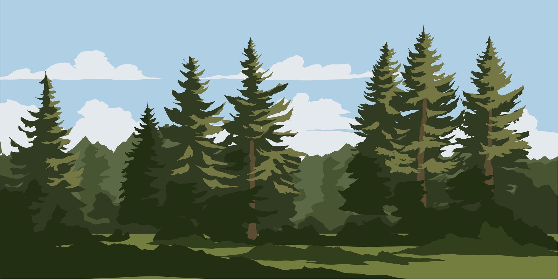 Pine forest scenery. Nature illustration vector