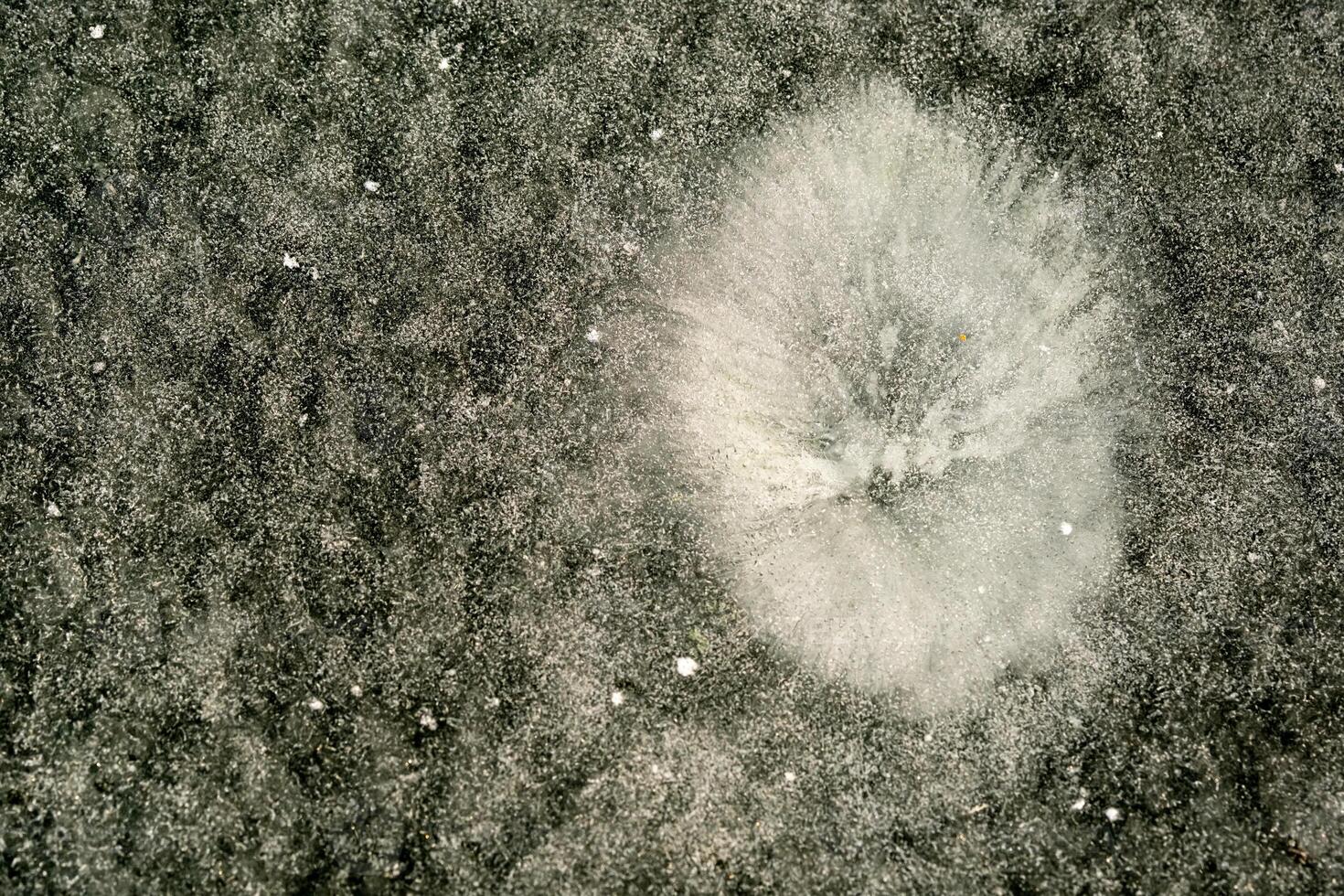 winter background. The texture of white snow on ice. Pure white snow photo