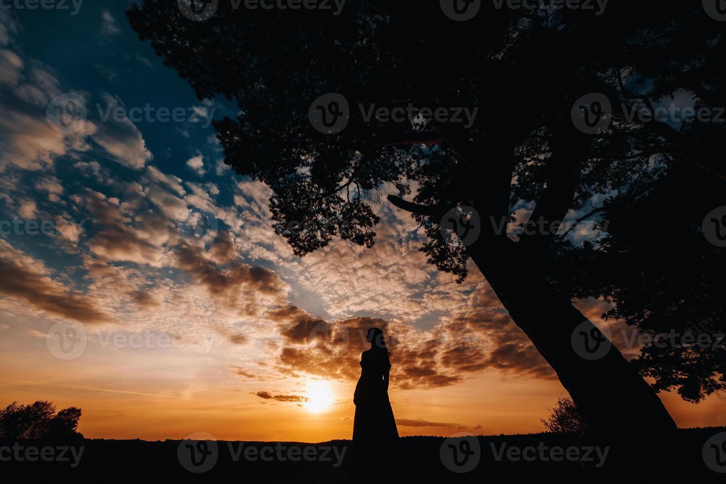 Portrait of a young beautiful girl with long brown hair, in a long red dress at sunset photo