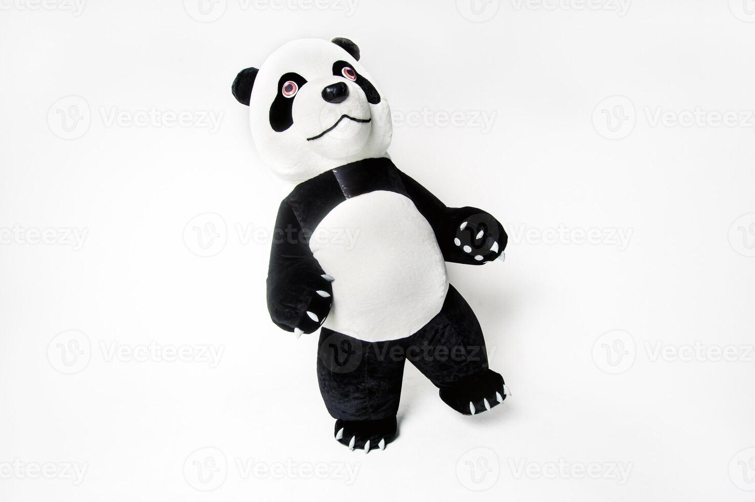 life-size panda doll with a man inside on a white isolated background photo