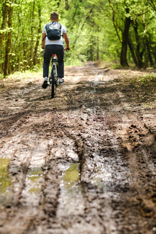 A group of cyclists with backpacks ride bicycles on a forest road enjoying nature photo
