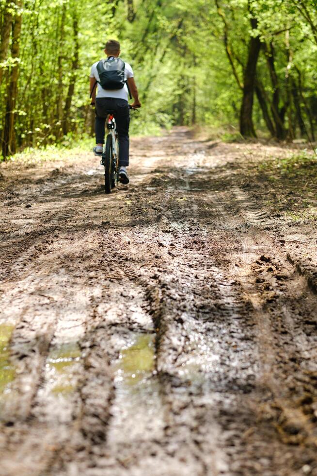 A group of cyclists with backpacks ride bicycles on a forest road enjoying nature photo