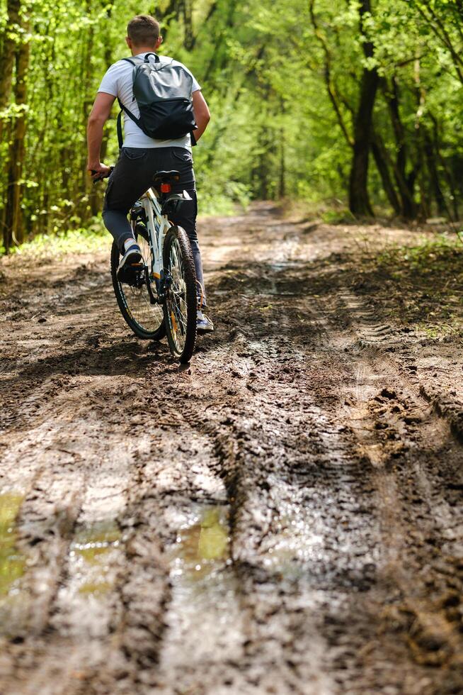 A group of cyclists with backpacks ride bicycles on a forest road enjoying nature photo
