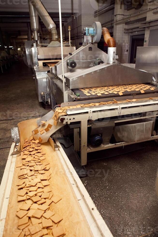 cookie making machine in the factory photo