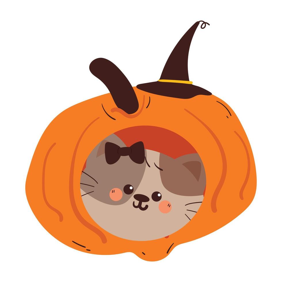 hand drawing cartoon cat inside a hlloween pumpkin. cute animal drawing, doodle for halloween vector