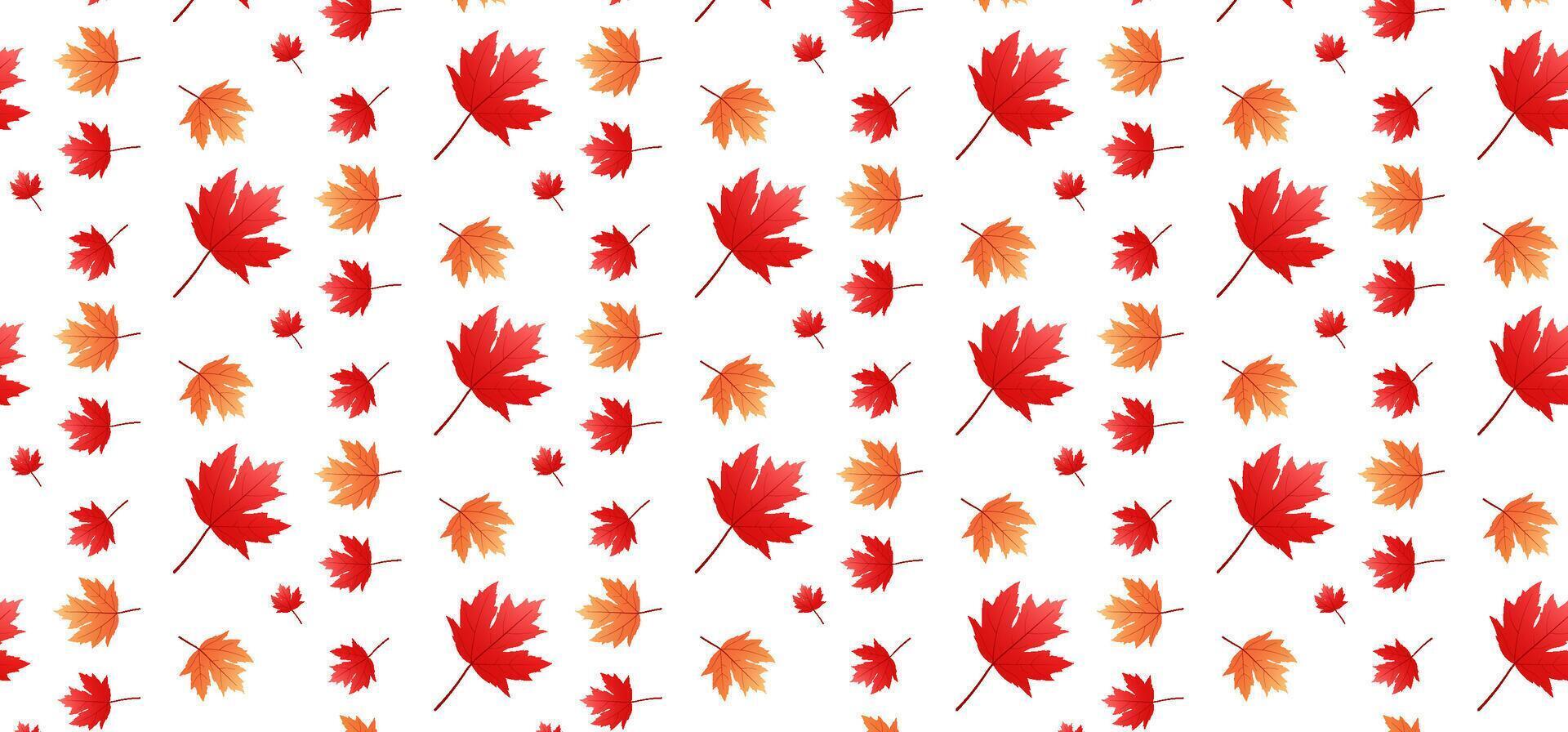 red and orange maple leaf background template vector