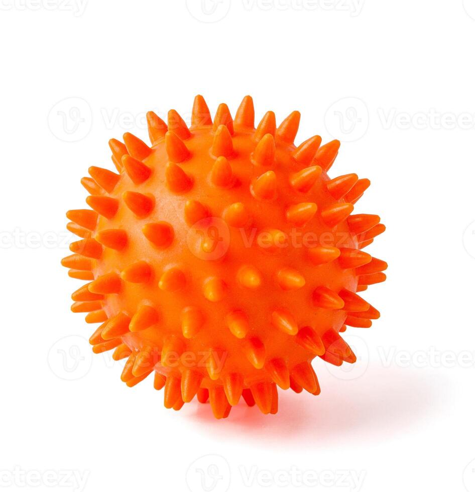 Dog pet toy isolated on white background photo