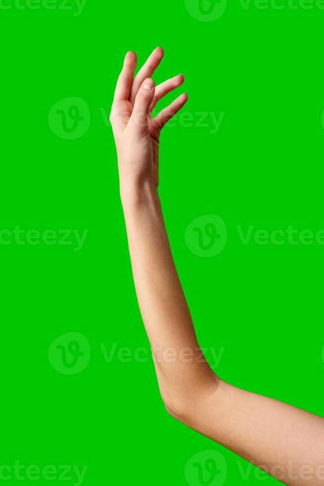 Hand Reaching Up on Green Background photo