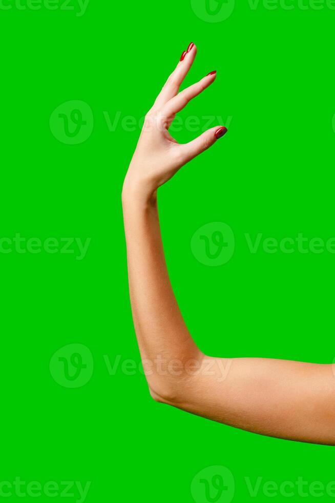 Womans Arm Hand Sign Raised in the Air photo