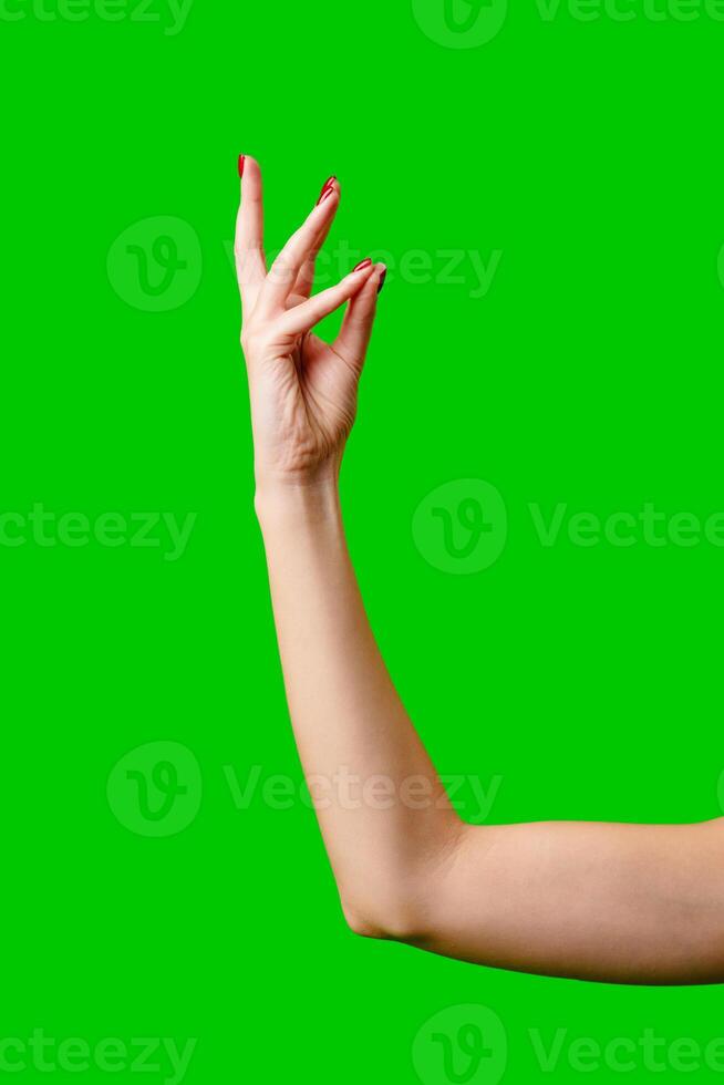 Womans Arm Hand Sign Raised in the Air photo