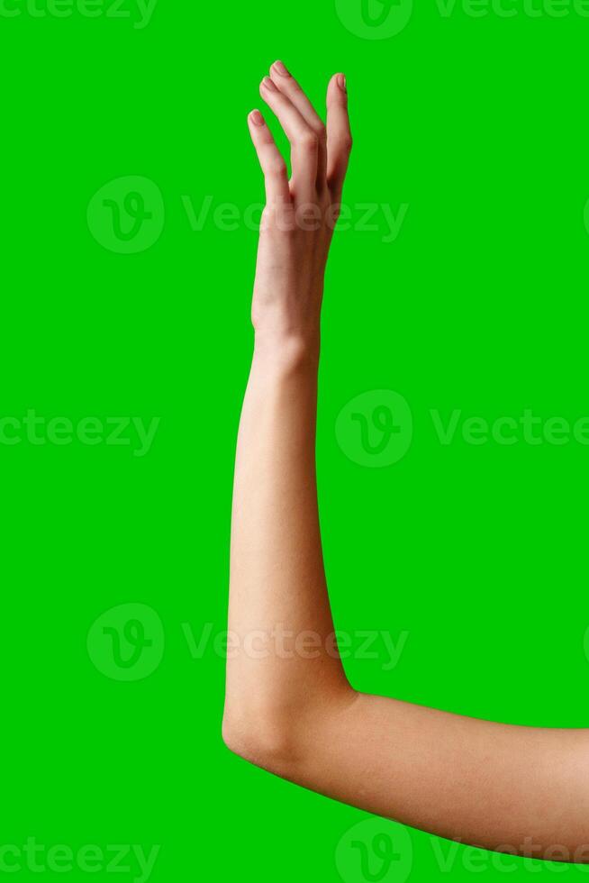 Hand Reaching Up on Green Background photo