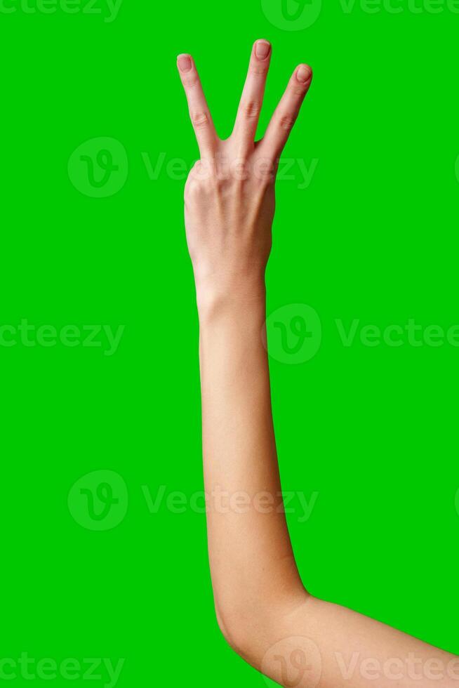 Human Hand Displaying the Number Three Against a Solid Green Background photo