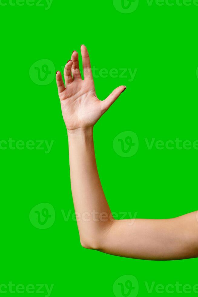 Womans Arm Hand Sign Raised in the Air photo