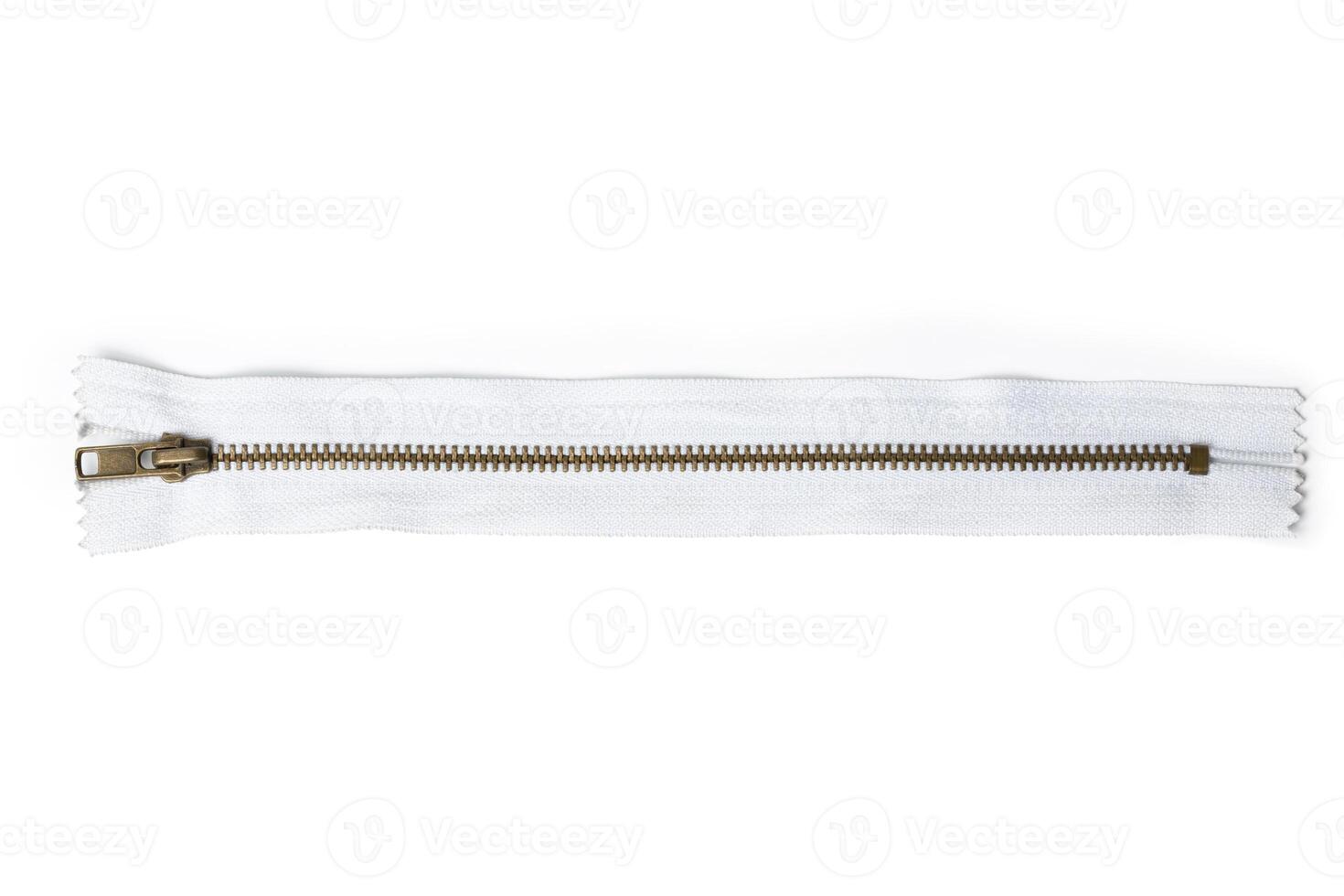 Zipper on white background photo