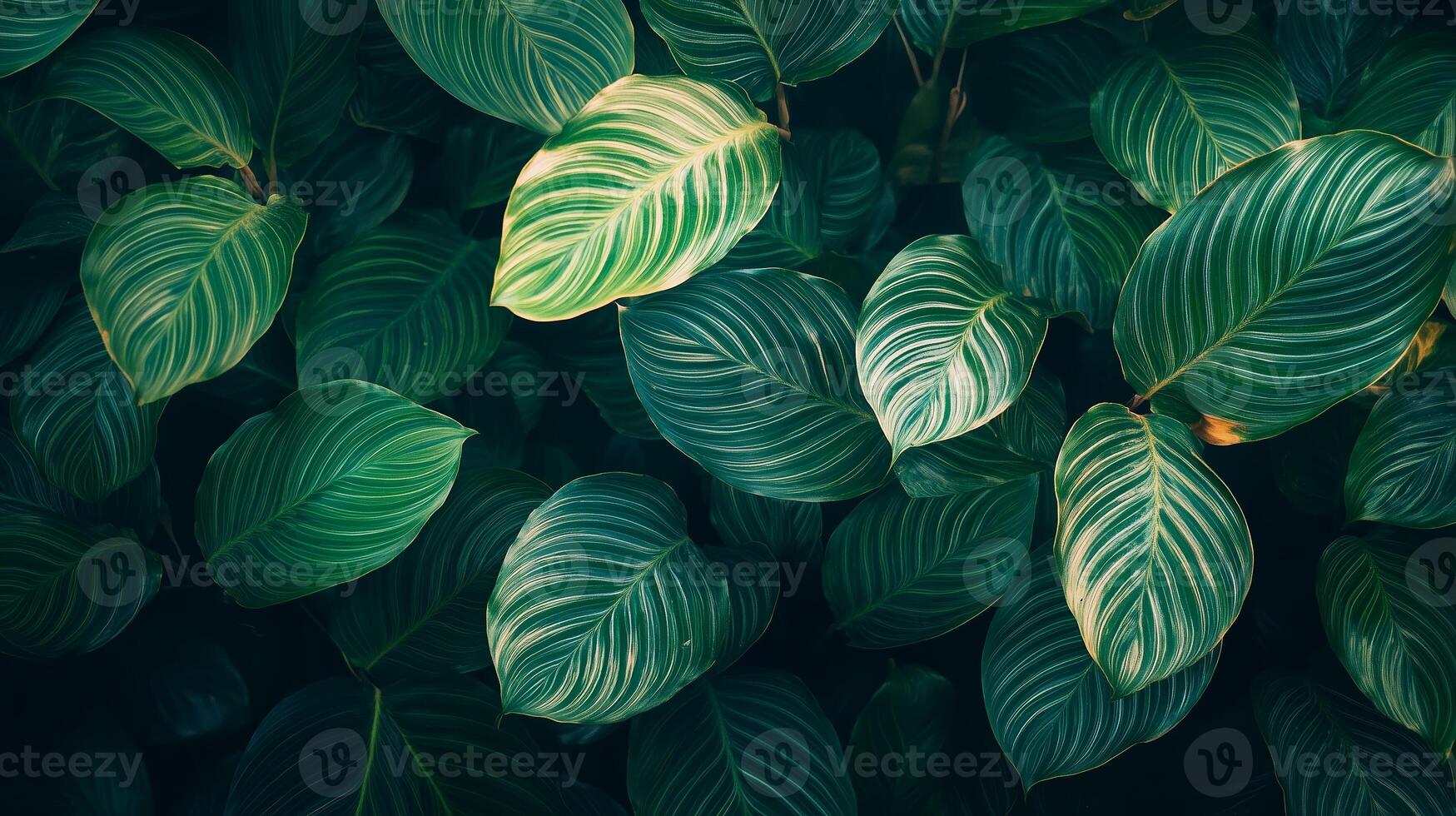 Lush green leaves showcasing intricate patterns under soft natural light in a tranquil indoor setting photo