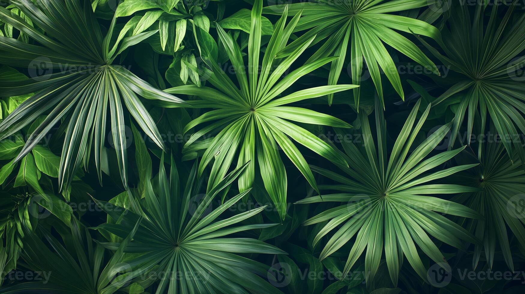 Lush greenery featuring vibrant palm leaves in a dense forest under natural lighting during daytime photo