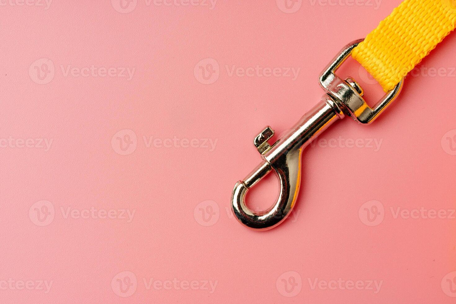 Dog leash with carabiner on pink background photo