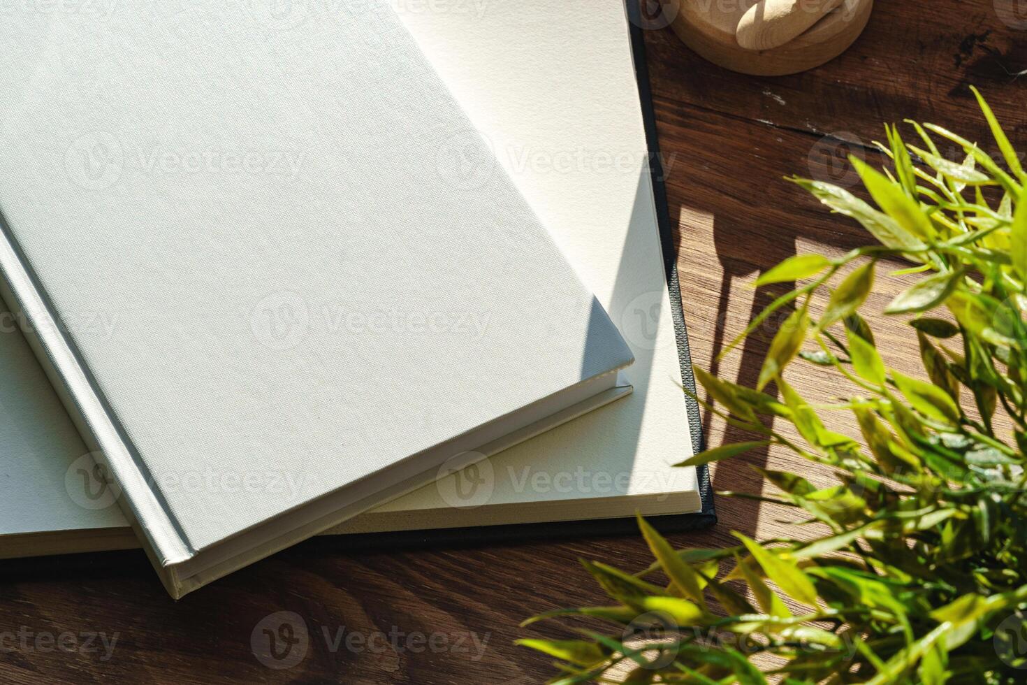 Books by the window on wooden windowsill in sunlight photo