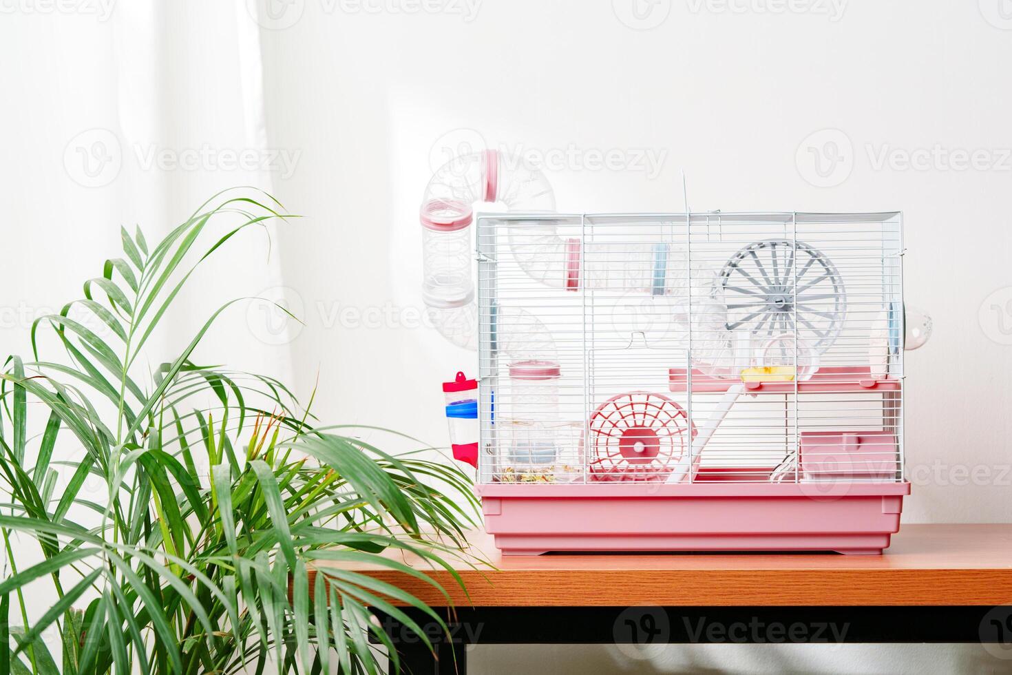 A vibrant hamster cage with wheels and accessories set against a backdrop of green leaves indoors photo