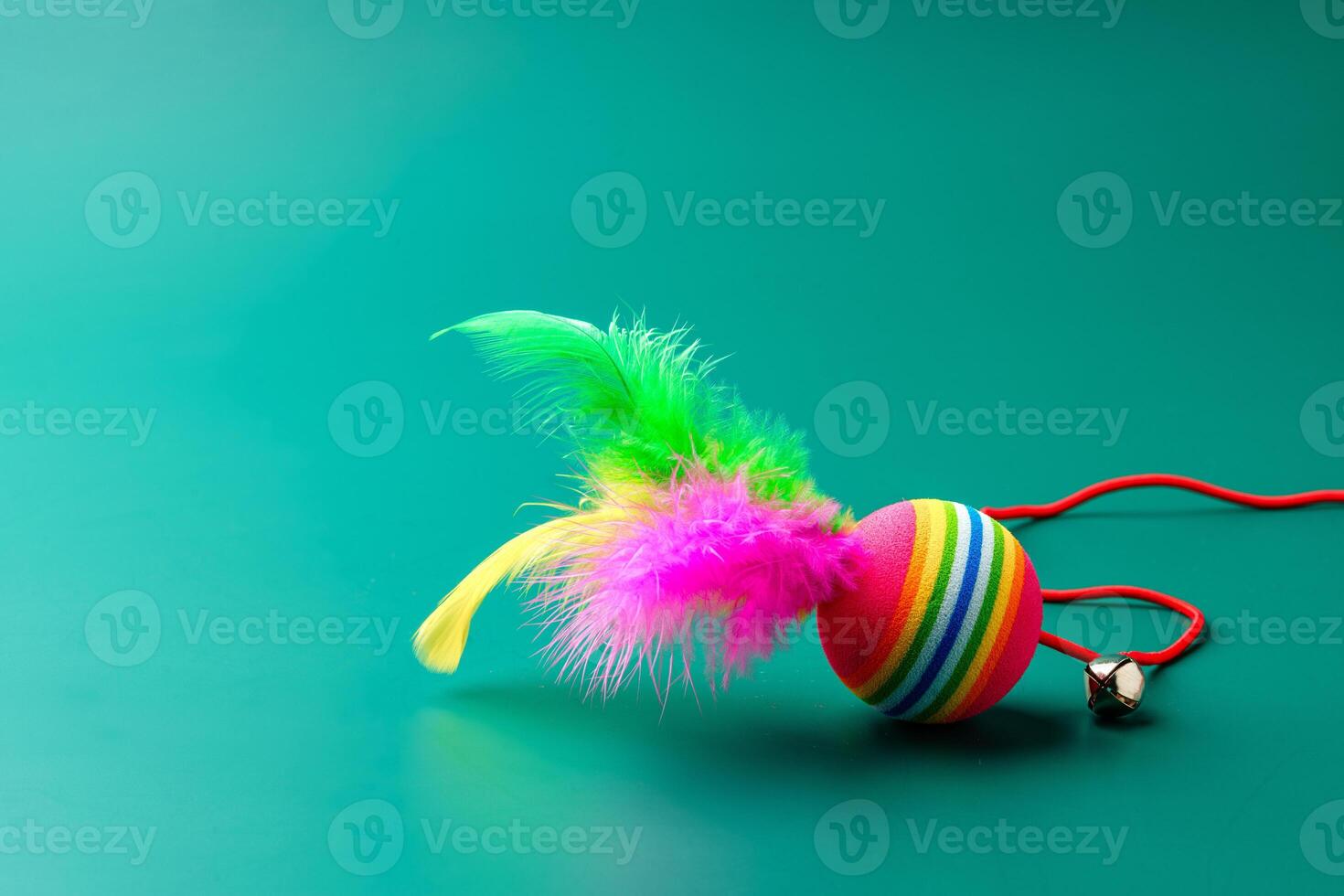 Pet toys on green background studio shot photo