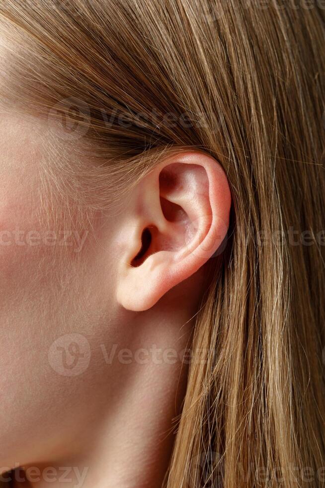 Close Up of Young Blonde Womans Ear photo
