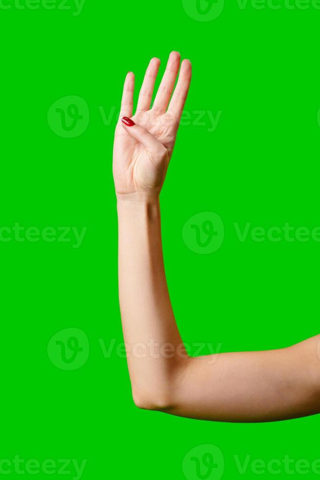 Womans Arm Hand Sign Raised in the Air photo