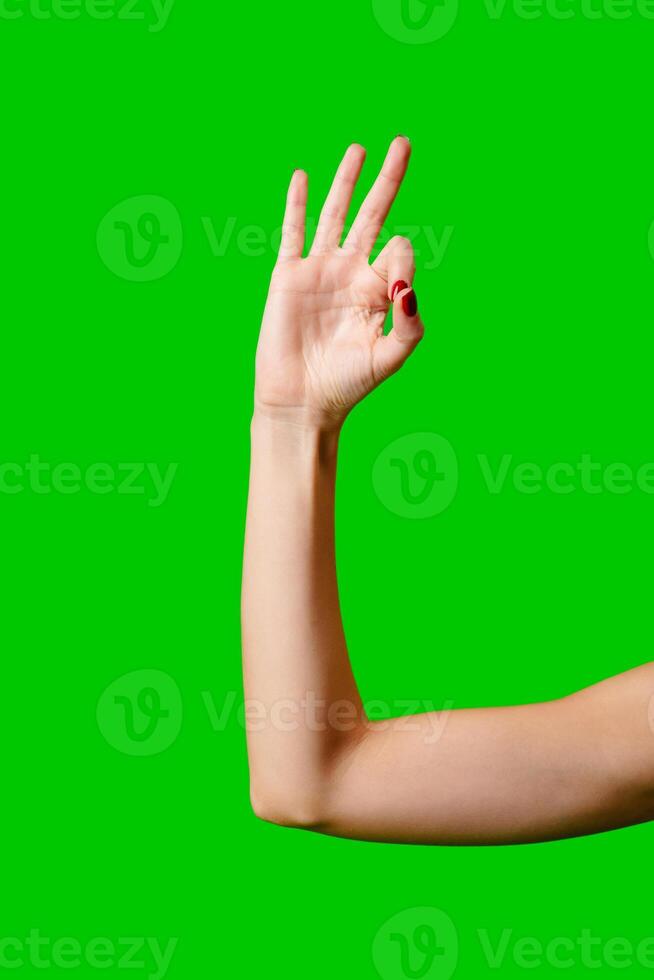 Womans Arm Hand Sign Raised in the Air photo