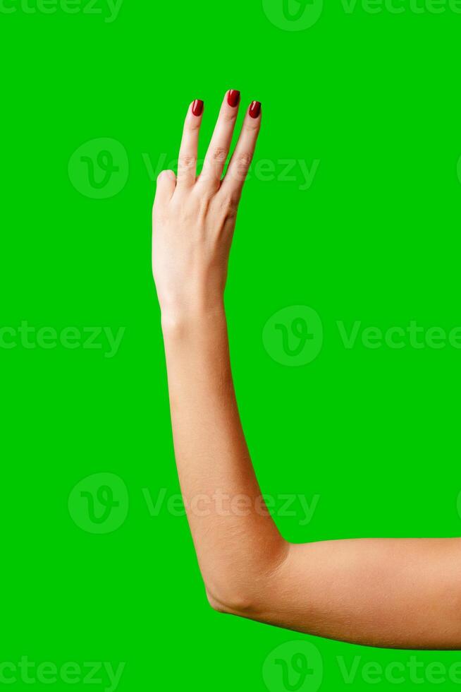 Womans Arm Hand Sign Raised in the Air photo