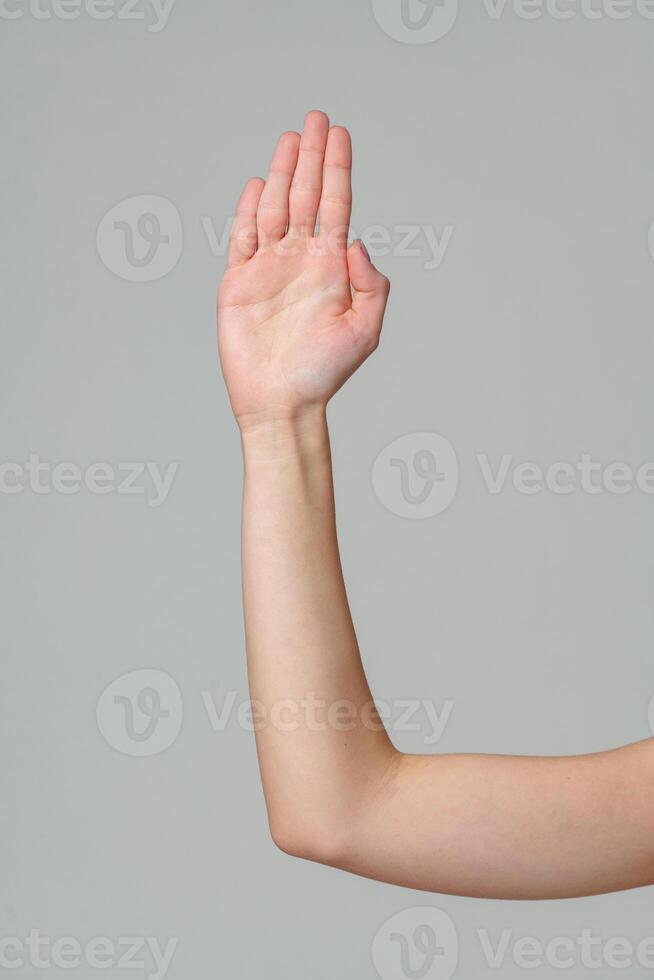Open palm of a female hand o gray background photo