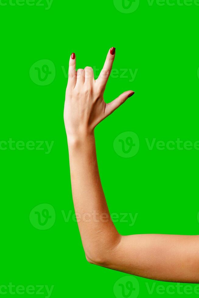 Womans Arm Hand Sign Raised in the Air photo