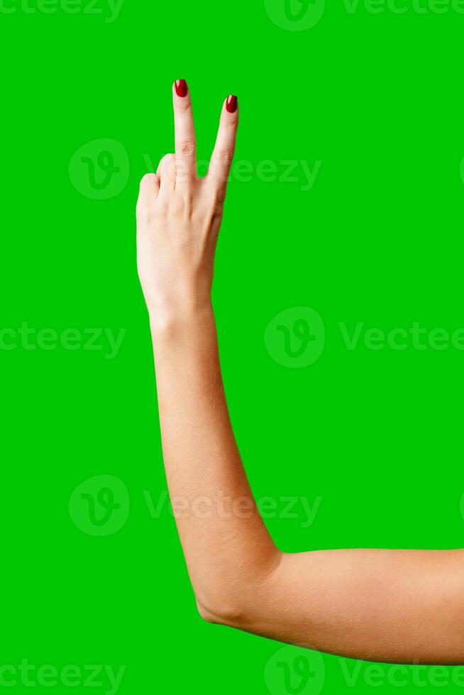 Womans Arm Hand Sign Raised in the Air photo