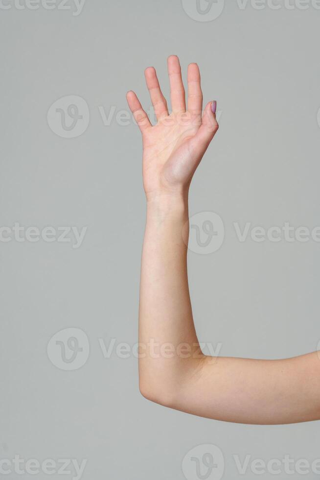 Open palm of a female hand o gray background photo