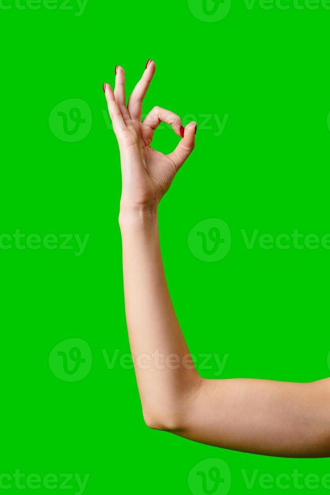 Womans Arm Hand Sign Raised in the Air photo
