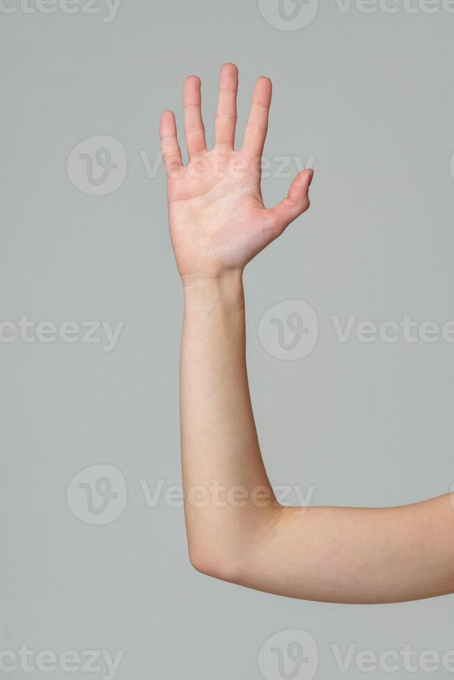 Open palm of a female hand o gray background photo