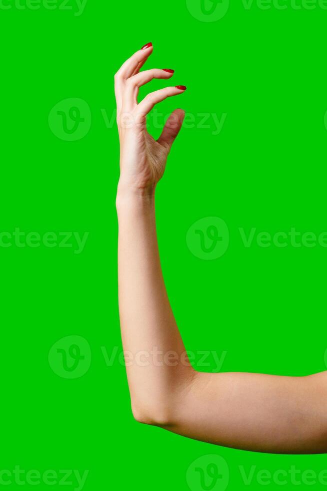 Womans Arm Hand Sign Raised in the Air photo