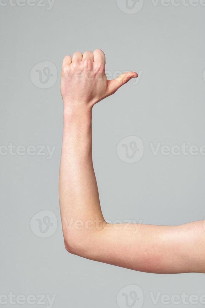 Flexed Forearm Demonstrating the Muscular System Against a Gray Background photo