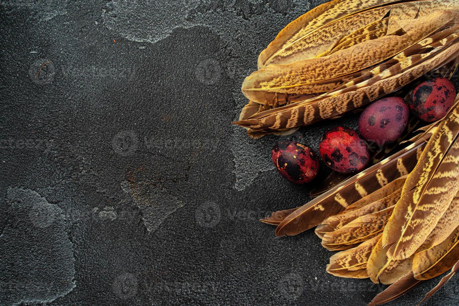 Easter quail eggs in feathers on dark background photo