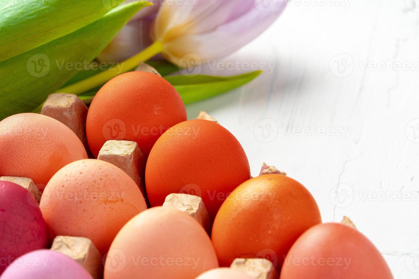 Painted Easter eggs in an eggbox with fresh tulips close up photo