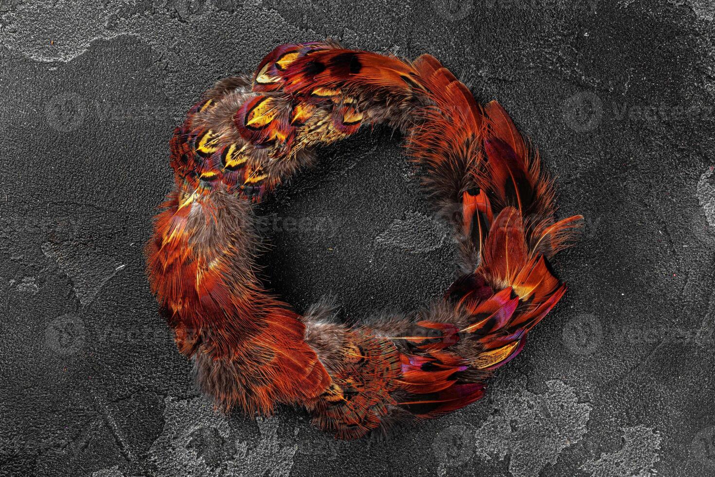 Pheasant feathers on dark textured background, copy space photo