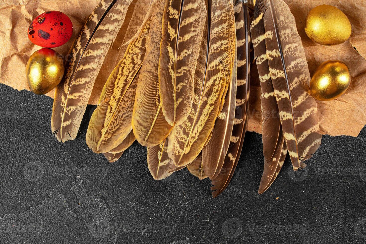 Easter quail eggs in feathers on dark background photo