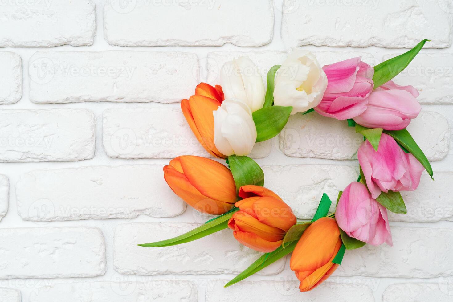 Circle of tulips on white brick wall photo