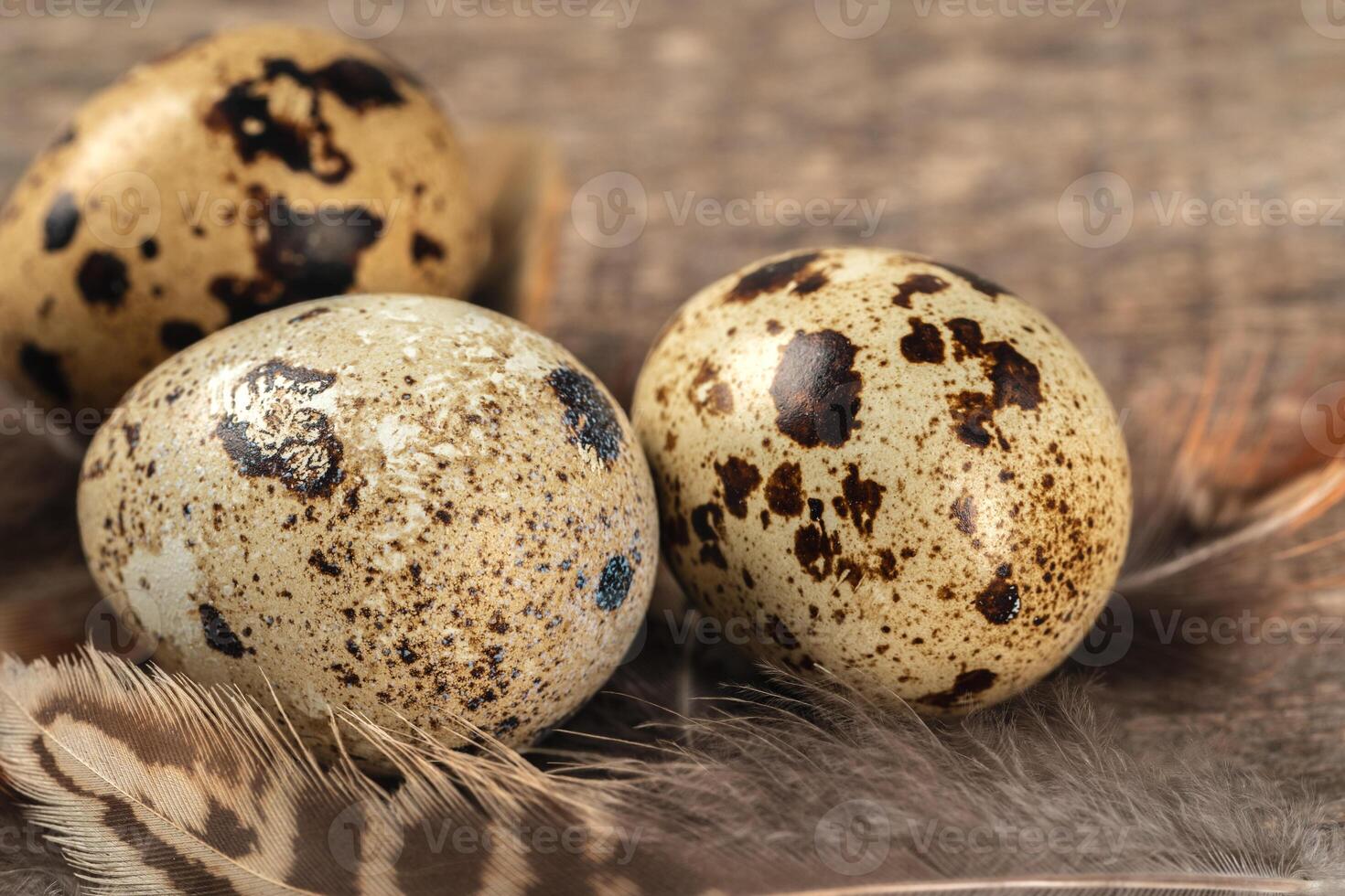 Quail eggs on a wooden table photo