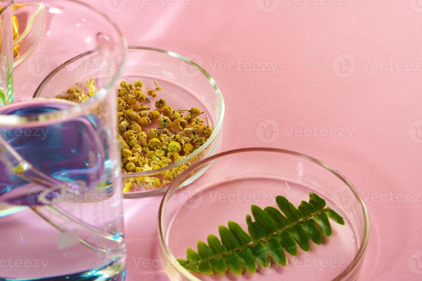 Concept research of beauty and skincare dietary supplements at laboratory photo