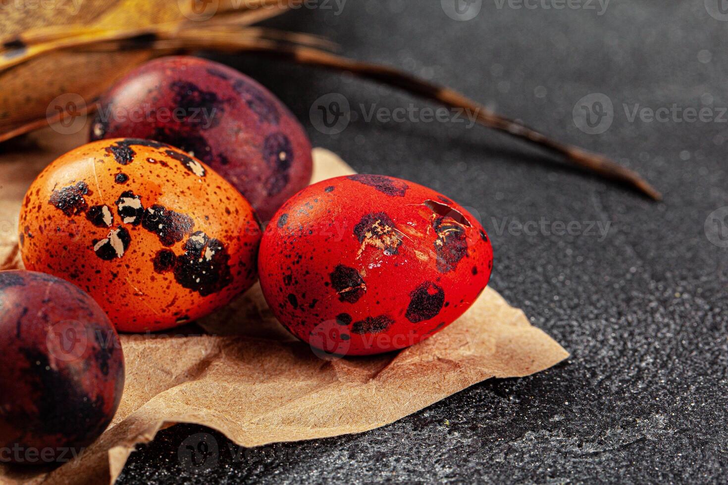 Easter quail eggs in feathers on dark background photo