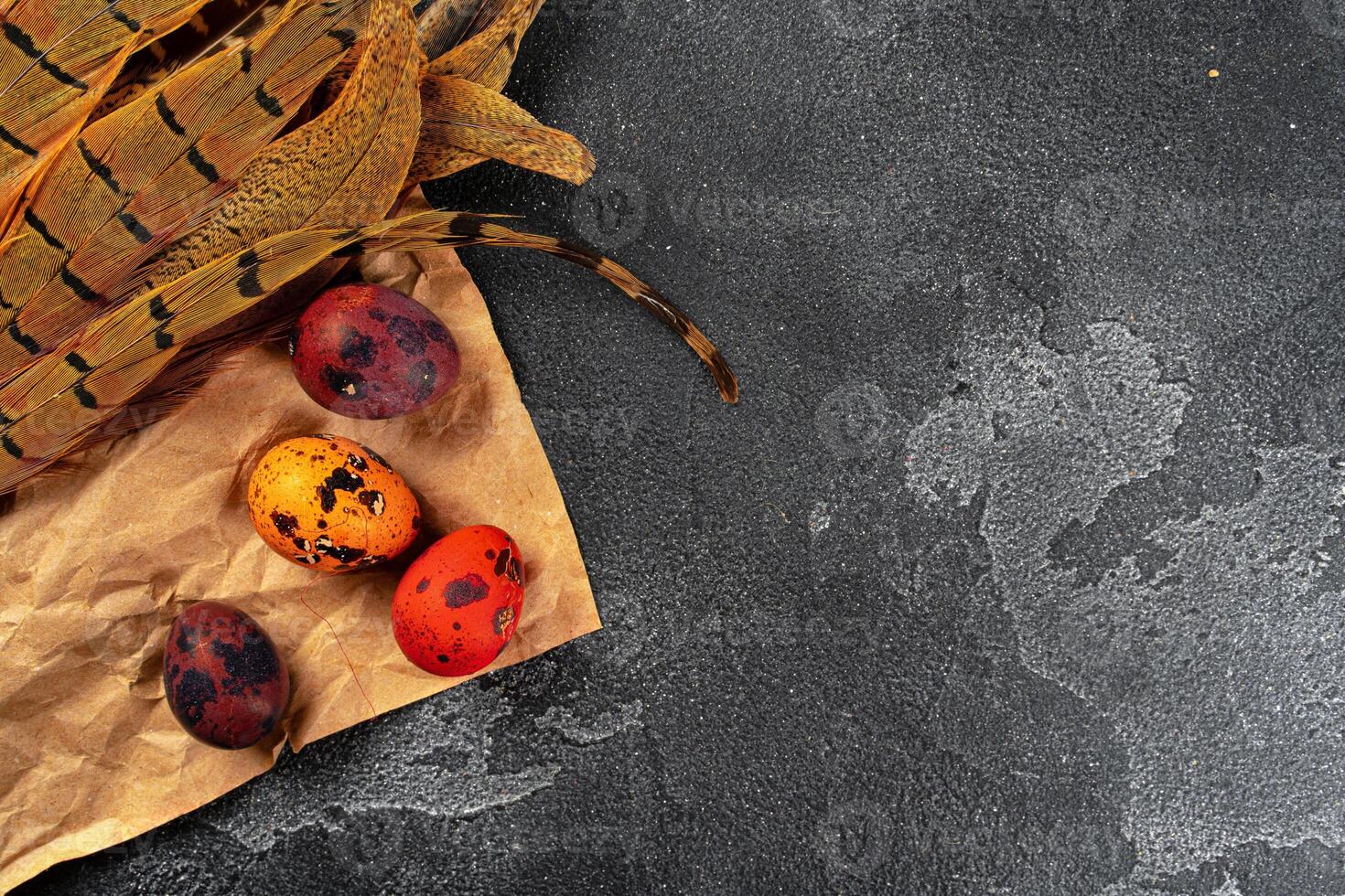 Easter quail eggs in feathers on dark background photo