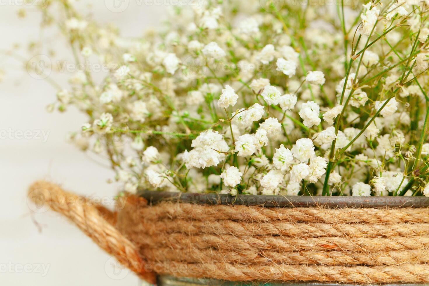 Bouquet of white gypsophila, baby's breath flowers close up photo