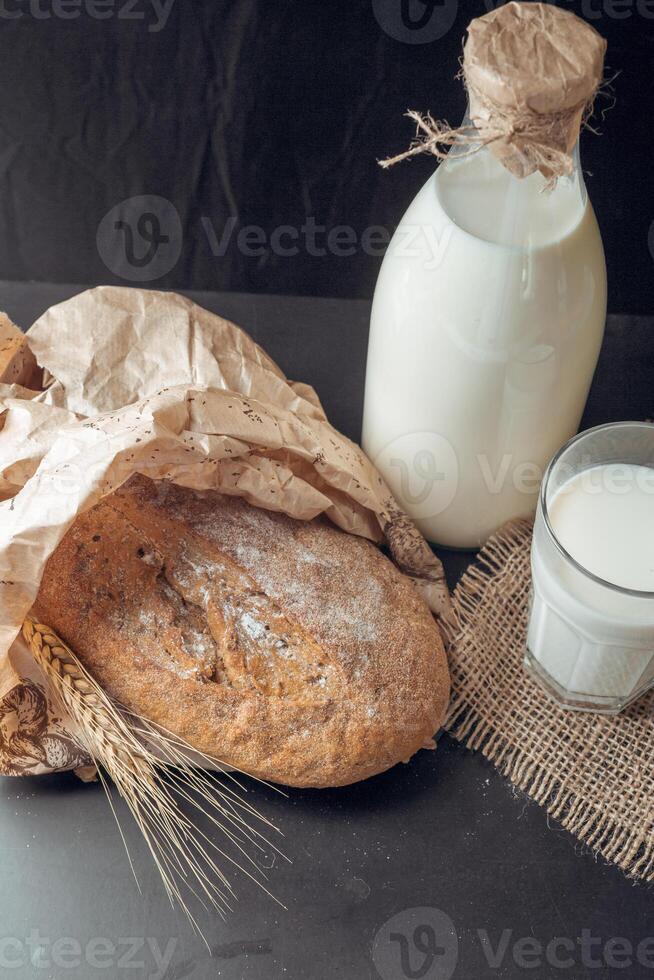 milk and bakery products photo